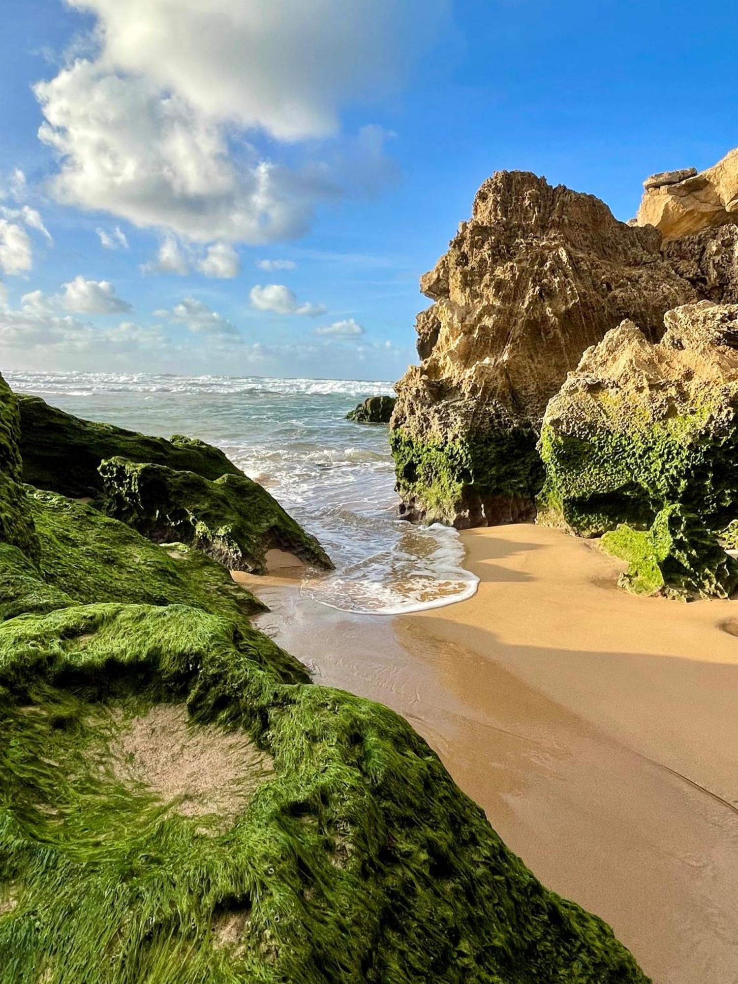 California Dream Inn Алжезур Экстерьер фото